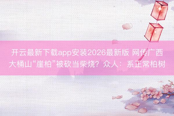开云最新下载app安装2026最新版 网传广西大桶山“崖柏”被砍当柴烧？众人：系正常柏树
